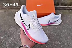 Nike pegasus 39