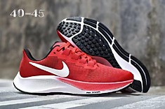 Nike pegasus 37 серые