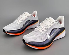 Pegasus 42