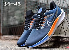 Nike pegasus 39