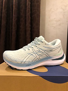 Asics gel kayano 29