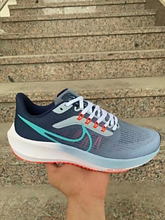 Nike pegasus 39