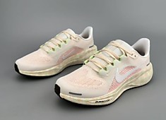 Nike Pegasus 41