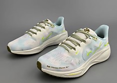 Nike Pegasus 41